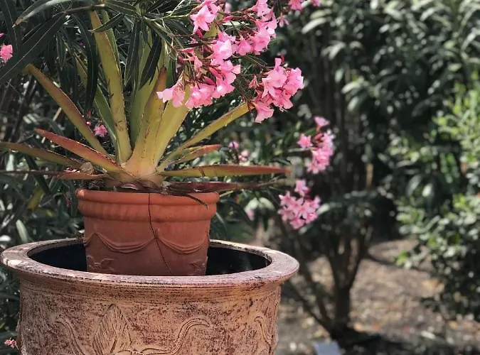 Lovely Nico Playa Blanca, Hot Tub, Communal Pool *