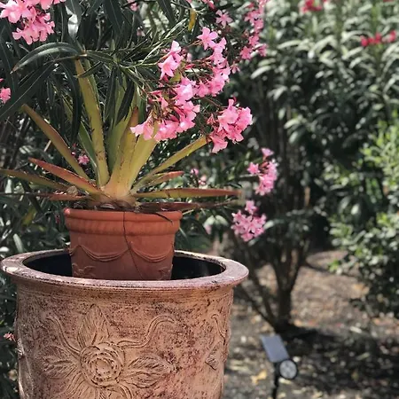 Lovely Nico Playa Blanca, Hot Tub, Communal Pool *