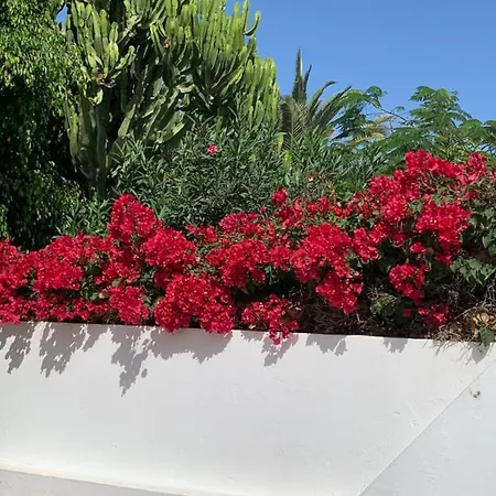 Lovely Nico Playa Blanca, Hot Tub, Communal Pool Βίλα Πλάγια Μπλάνκα