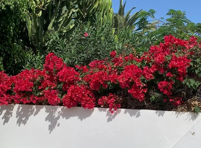 Lovely Nico Playa Blanca, Hot Tub, Communal Pool Villa Playa Blanca (Lanzarote)